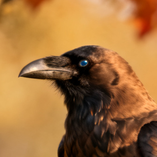 Huginn