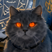 Trjegul